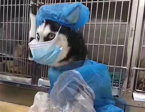 超级挖宝82期,几率真的跟号有关系吗我曾经不信