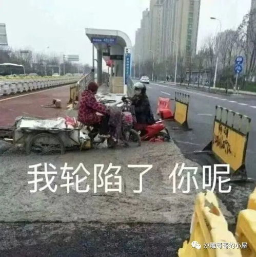 搞笑又沙雕的朋友圈文案九