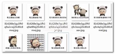 坑货小伙伴表情包下载坑货小伙伴搞笑qq表情无水印版软件下载