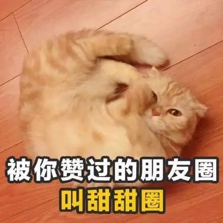 深圳表白列车即将发车你,表白了吗