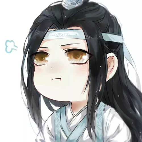 魔道祖师动漫头像魏无羡蓝忘机