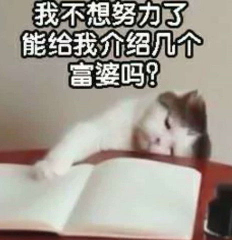 精选沙雕表情包作业还没写完,我不想努力了怎么办