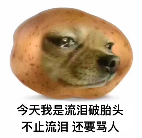 自信的丑女孩会受欢迎吗