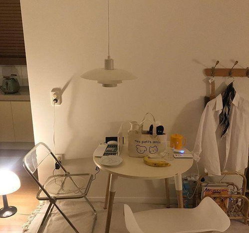 美女作家的单身公寓,布置得简单温暖,与书籍和两猫为伴,超爱