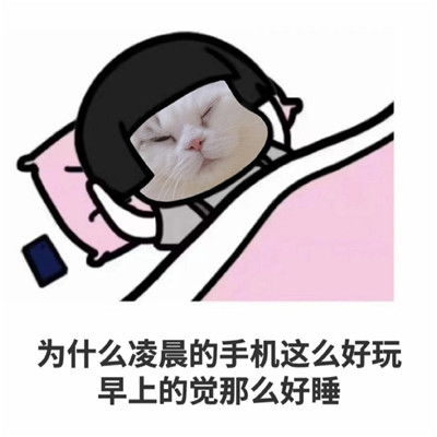 2022年搞笑又有趣的聊天表情包