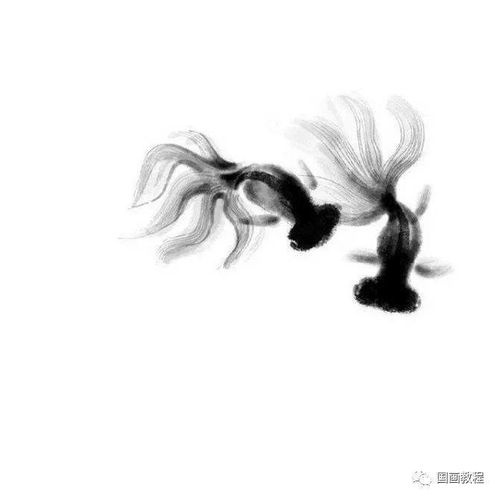水墨金鱼,纸上摸鱼