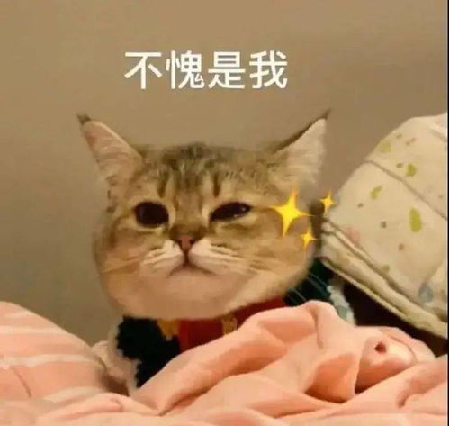 2021畅游浙江一票通火爆回归359元品质版享畅游杭州及周边30家热门好玩景点omg这么多玩耍,这个价格,不容错过