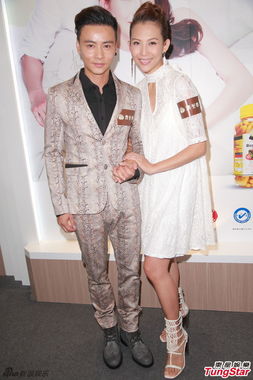 组图蔡少芬夫妻百万代言寓所现蜂巢惊魂未定