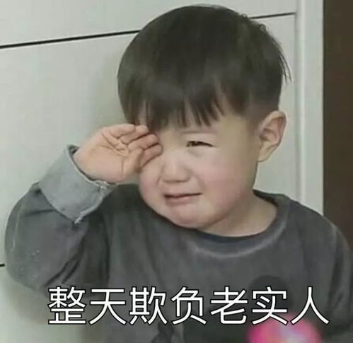 西澳一家亚洲餐馆因问题食品面临巨额罚款传言卖的是猫肉