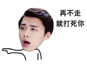 明星版搞笑表情包