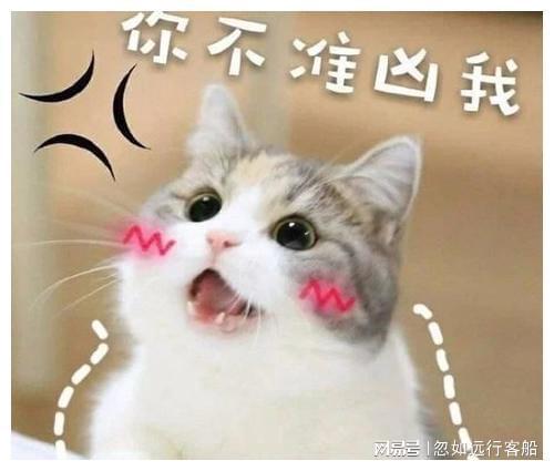 面无表情的图片搞笑搞怪