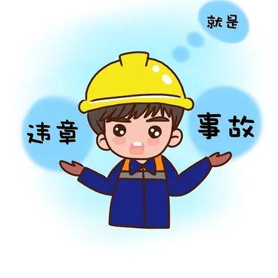 眉山一男子开挖挖机野蛮工作,挖断高压线被拘留