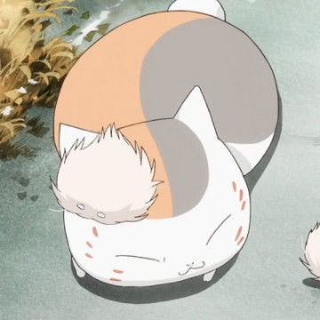 猫咪老师头像夏目友人帐猫咪老师可爱头像,卡通头像图片
