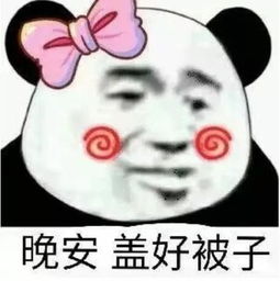 骚又骚的很,私聊叫我滚