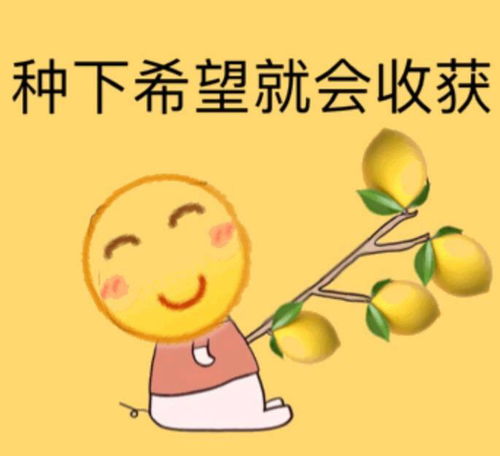 不带别人就没热度的糊逼真的永远不懂上映1天半网易...