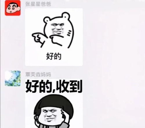 买家秀可以接地气但不能接地府哈哈哈哈哈爆笑如雷了家人们
