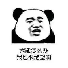 回国就是混不下去了出国也只不过是用钱砸的五大场景逼疯留学生我百万留学就为了给你代购当翻译