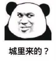 熬夜冠军