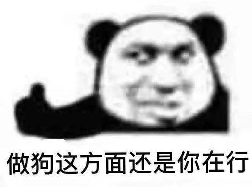 熊猫头表情包你这里是不是有问题