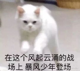 神奇室友是时候展现真正的技术了