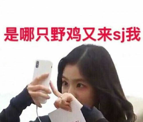 中毒性旋律新歌人气居高不下,神仙姐姐超搞笑表情包带你一起飞