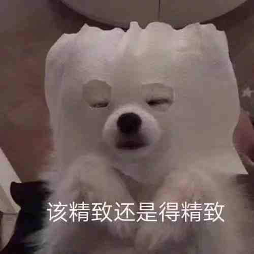沙雕表情包该精致还是得精致