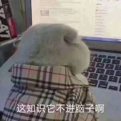 谁看都合适的一封信