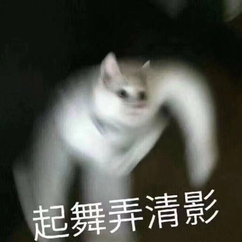跟大家分享一下表情包