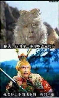 86版西游记表情包火爆来袭,收藏好,没它咋过猴年