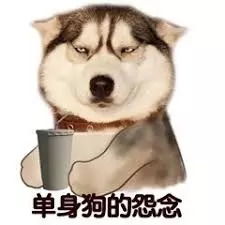 现在看到工资单流的泪都是当年选专业时脑子里进的水,h1b们挤进美国中产阶级行列了吗