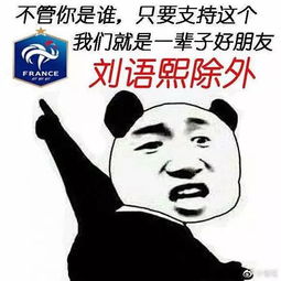 来晚了,世界杯表情包