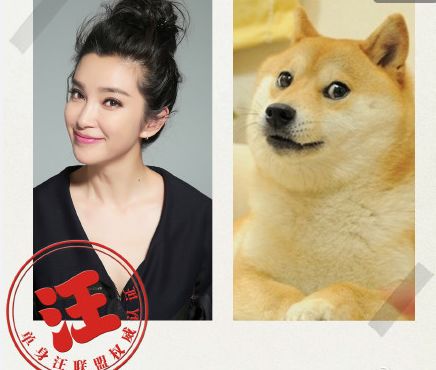 一波柴犬表情包,拿好不谢