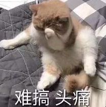 怒一夜之间停车场十多辆小车被砸,损失超10万...