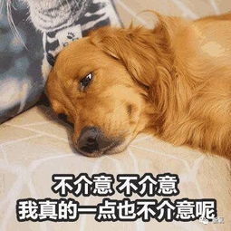 沈月和郑爽穿同款校服,这对比简直是处刑