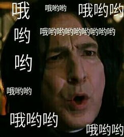 求hp哈利波特的表情包