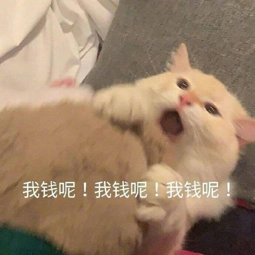搞笑表情包哈哈,你能拿我咋滴