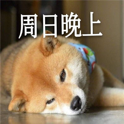 我的一周情绪变化搞笑表情超级有趣的一周心情变化表情大全