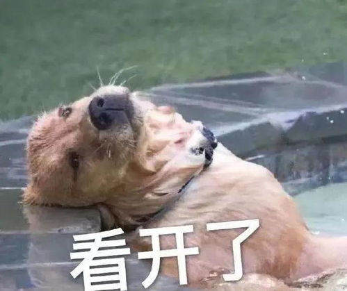 爆笑我化成灰你都认识,可我p过的图片,你居然叫我推微信离谱