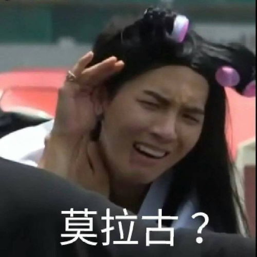 假期必刷爆笑综艺这些表情包你肯定用过快看新西游记