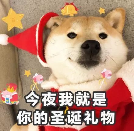 原创丨歪我想做你的圣诞老人