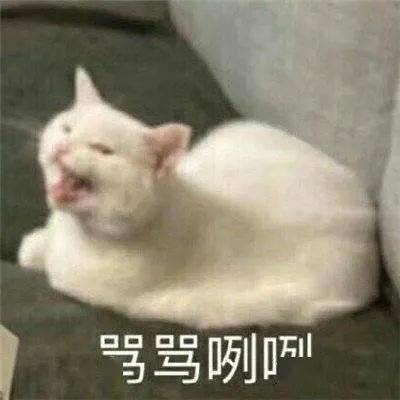 给你100块,把我婆婆吃掉沙雕网友太会整活了哈哈哈哈哈哈