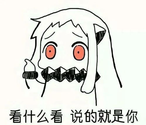 公路开口唱歌我还以为幻听了