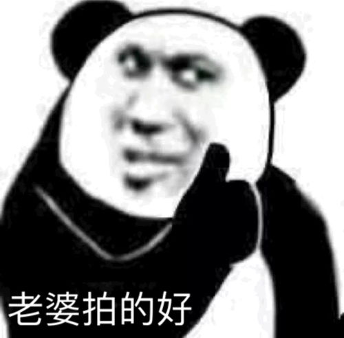 你有莫有什么关于拍一拍的表情包