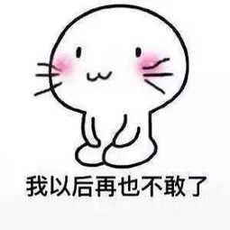 关于老婆最大这些类型的哄老婆的表情包,我要啊啊啊大神助我