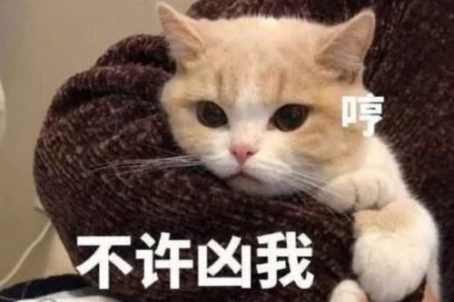 有哪些哄男朋友的可爱的表情包