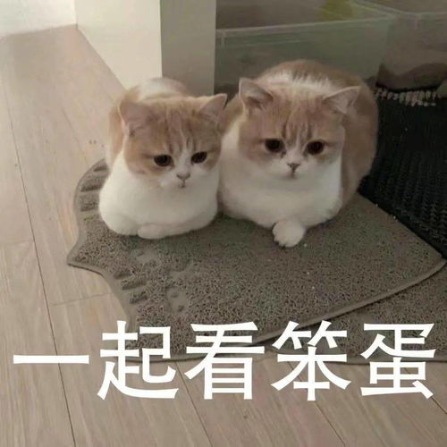遭到水逆的重击