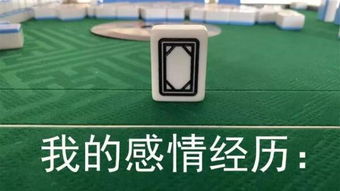 坦洲宝马女司机连打13小时麻将不但输惨,半夜还回不了家