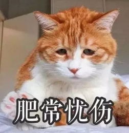 3个月暴瘦50斤,狂晒马甲线,曾经的小胖妞,如今美得开挂亚亚
