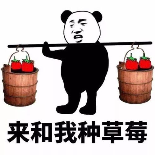 表情熊猫头搞笑表情包小妹妹,来和我种草莓腾讯新闻表情