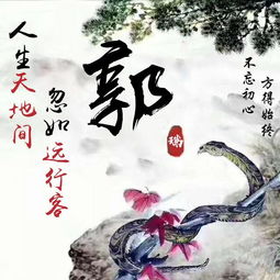 49张大气个性专属姓氏头像,微信头像,qq头像,彰显高端大气